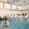 karate_11_2018_043